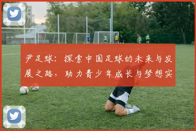 尹足球：探索中国足球的未来与发展之路，助力青少年成长与梦想实现