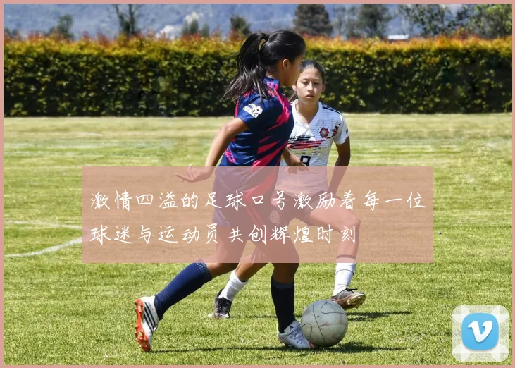 激情四溢的足球口号激励着每一位球迷与运动员共创辉煌时刻