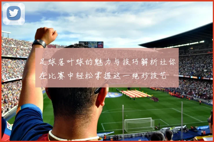 足球落叶球的魅力与技巧解析让你在比赛中轻松掌握这一绝妙技艺