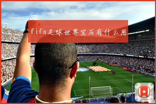 fifa足球世界宝石有什么用