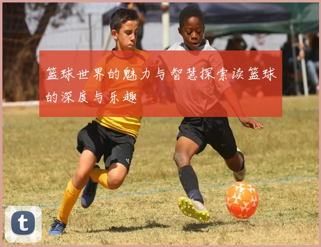 篮球世界的魅力与智慧探索读篮球的深度与乐趣